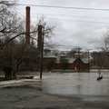 IMG 9194